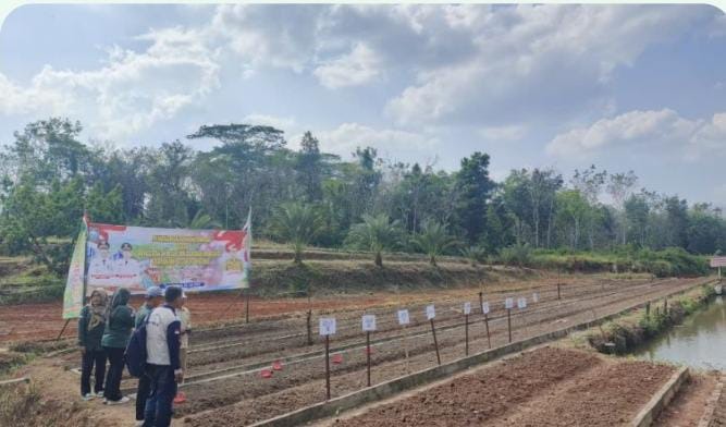 Pertanian & Perkebunan Warga Desa